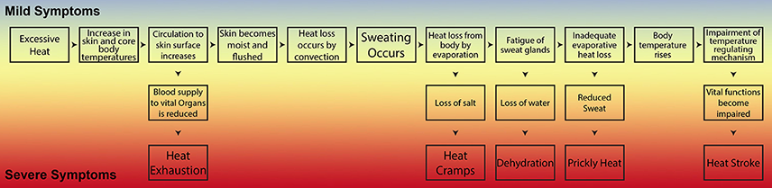 inforgraphic showing the quick progression of heat stress from dehydration to heat stroke