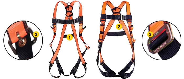 the 5-point adjustable harness available in Tongue Buckle and Pass Thru variants