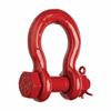 Picture of Crosby® 3/4" S-2130 Self-Coloured Bolt Type Anchor Shackles
