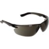 Picture of DSI EP850 Techno Safety Glasses