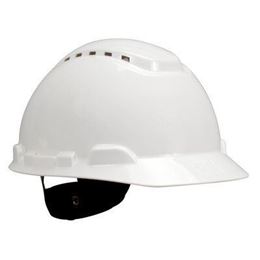 Picture for category Hard Hats