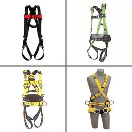 Picture for category Harnesses and Accessories