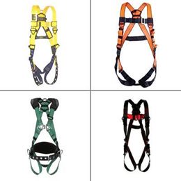 Picture for category Harnesses and Accessories