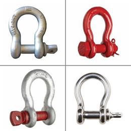 Picture for category Shackles